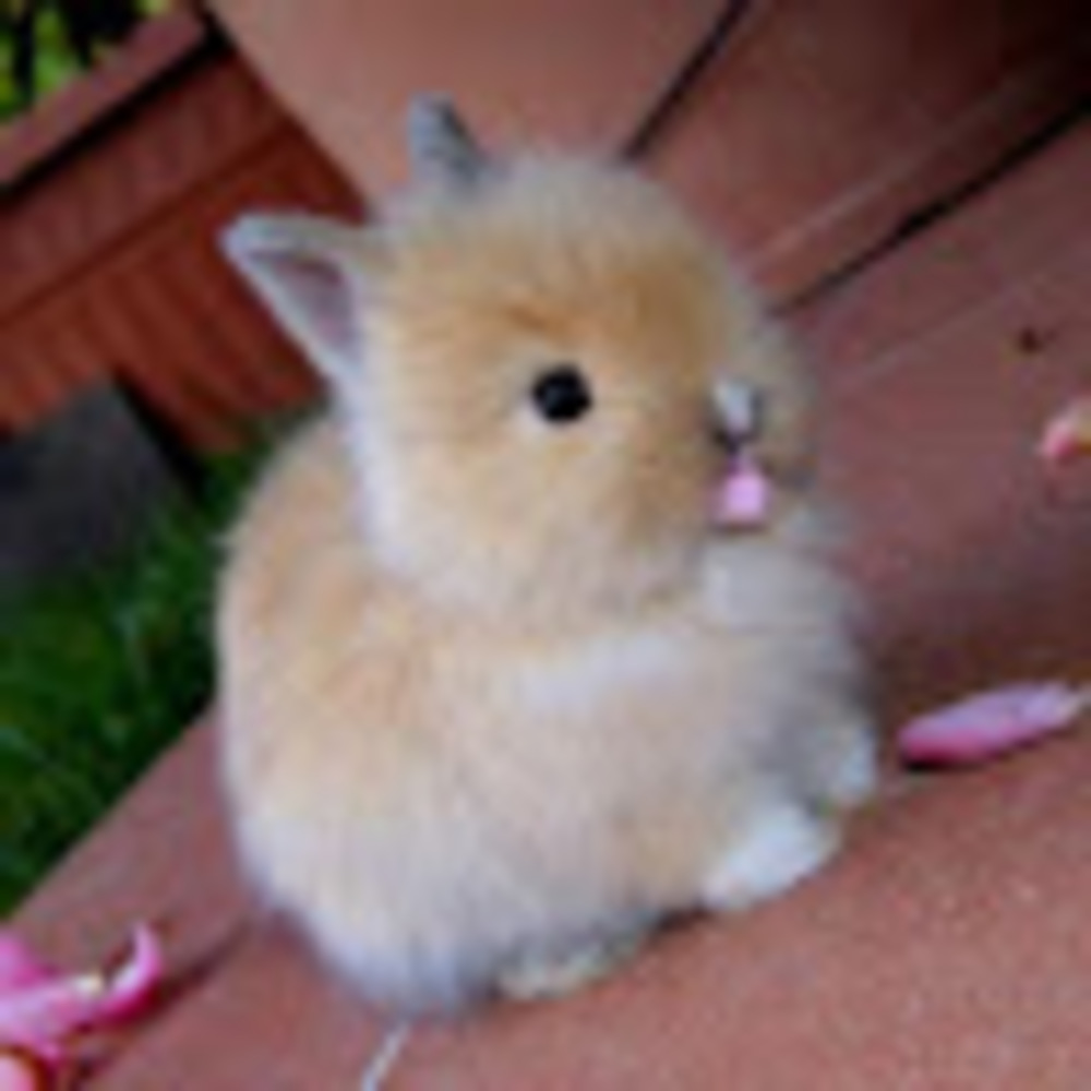 Meet your Posher, Mikayla